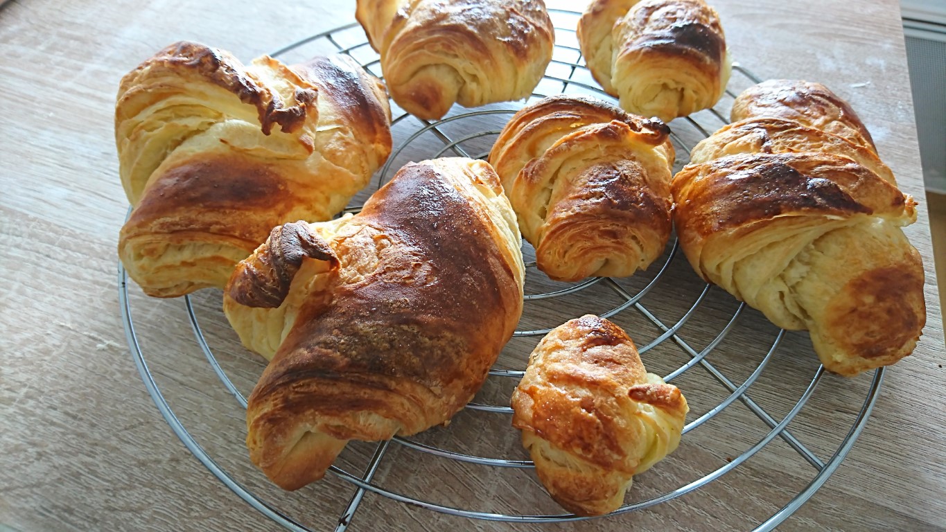 DSC_0911 (Moyen).JPG